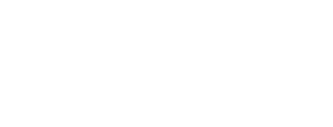 logo 12