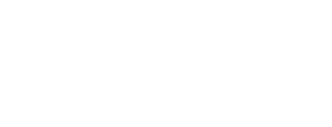 logo 13